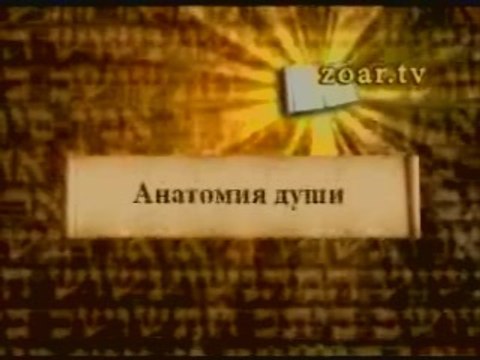 Анатомия души (Врата Зоар)