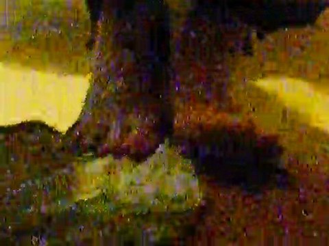 L'école du Prieuré 01/04/2010 - 2