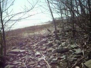 AIGLE ROYAL DES JEUDI SAINTS 2010 AVRIL RAM BELIER AGNUS DEI