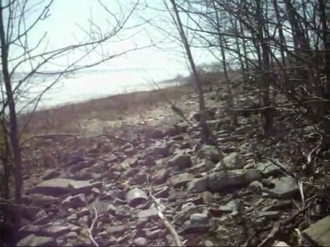 AIGLE ROYAL DES JEUDI SAINTS 2010 AVRIL RAM BELIER AGNUS DEI