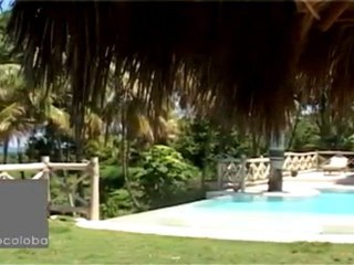 Villa Cocoloba - The swimming pool area