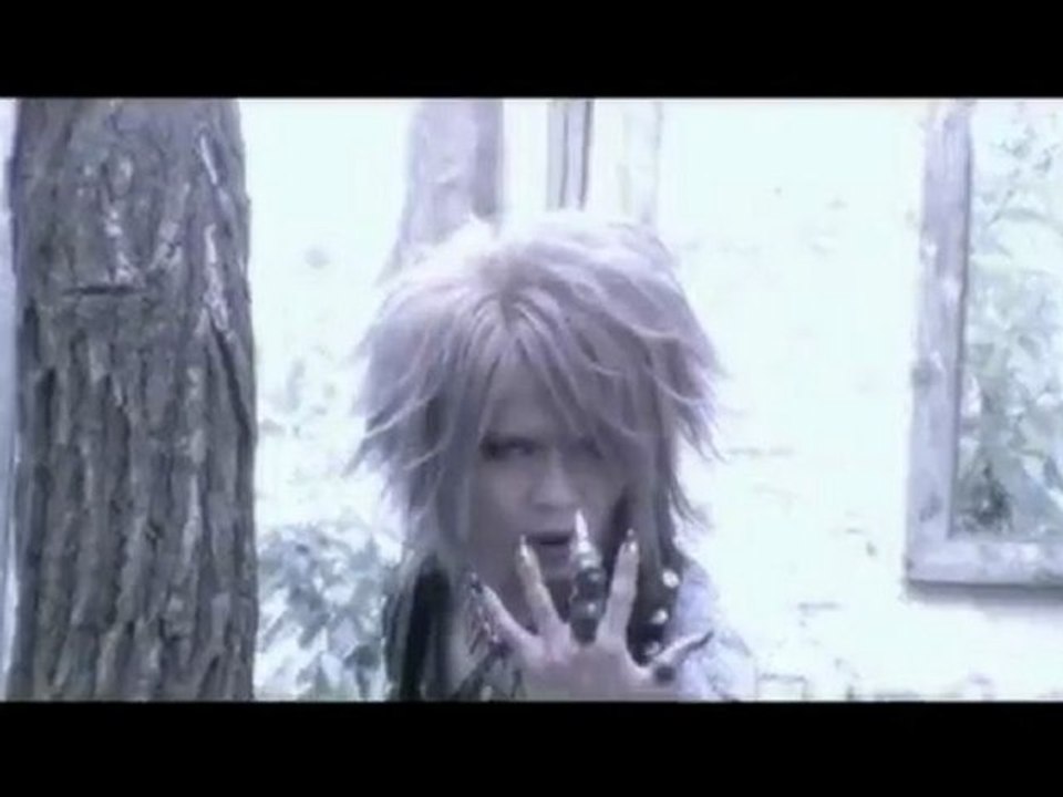 VII-Sense - Black Bird pv