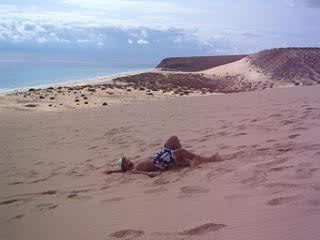 Sand Swimming