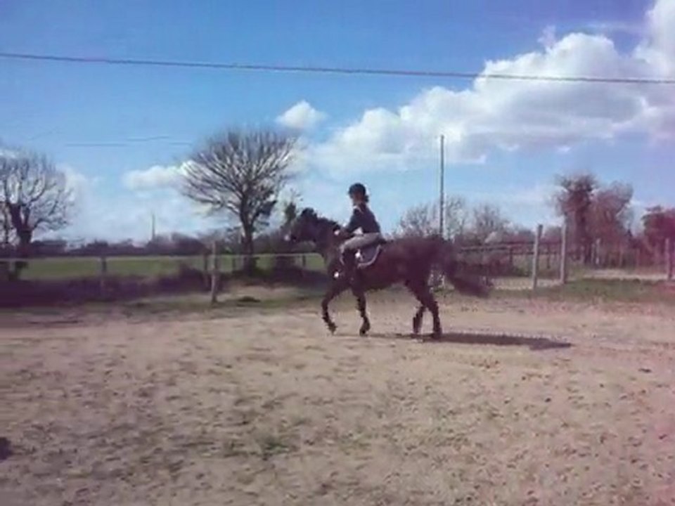Moi & Darshaan