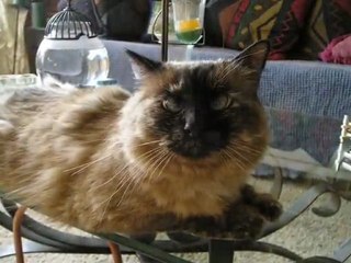 Where did our Love go