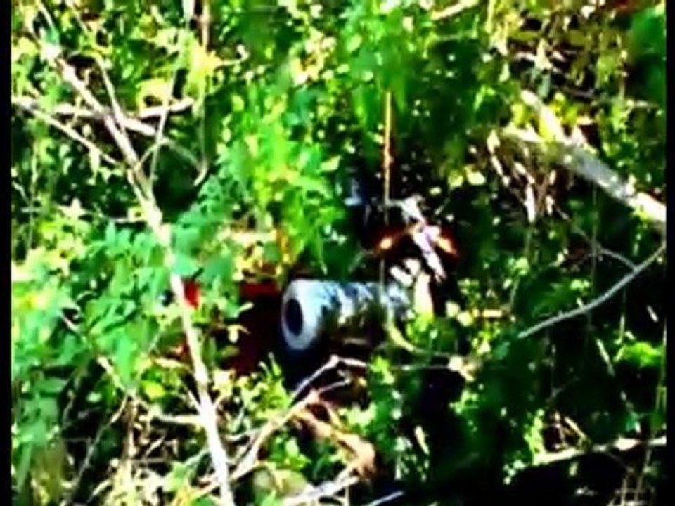 Crash Back Hot Style Bike v-8