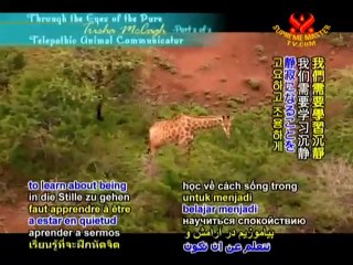 Trisha McCagh, Animal Telepathic Communicator - P2/2