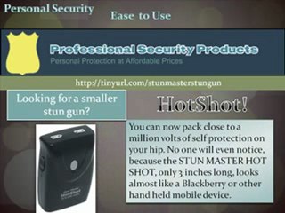 Stun Master Stun Gun