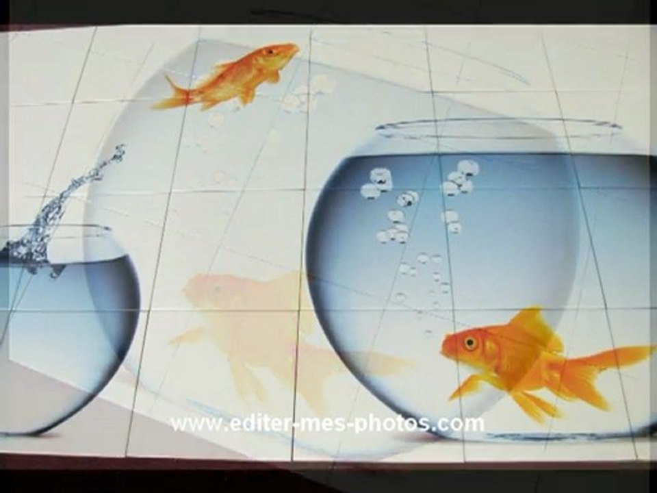 Photo sur carrelage intérieur et carrelage imprimé intérieur