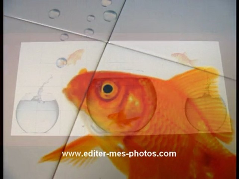 Décoration murale : Carrelage personnalisé avec votre photo