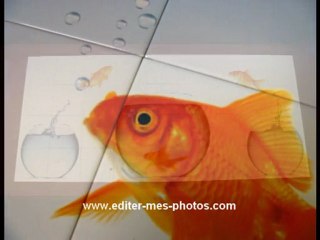 Décoration murale : Carrelage personnalisé avec votre photo