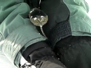 Miloche, amie des animaux... Même sur les pistes.