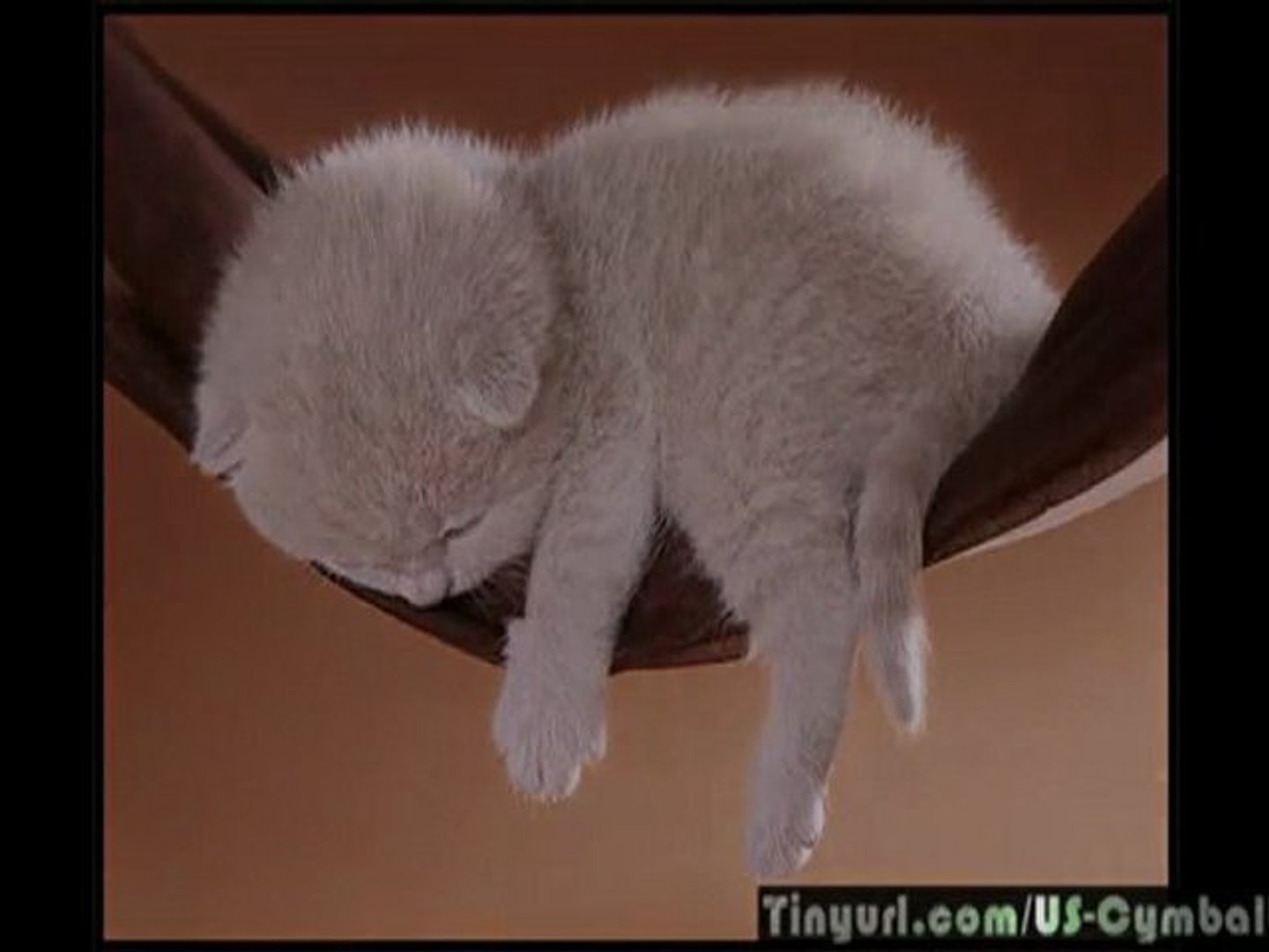 HOW TO USE Cymbalta!