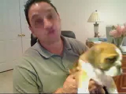 Carriage Doors Morris County NJ