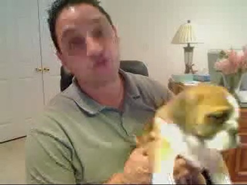 Carriage Doors Morris County NJ