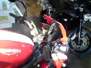 speed triple SE 2010 red white