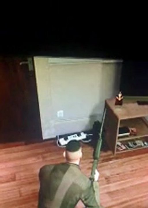 gta 4 bug bug