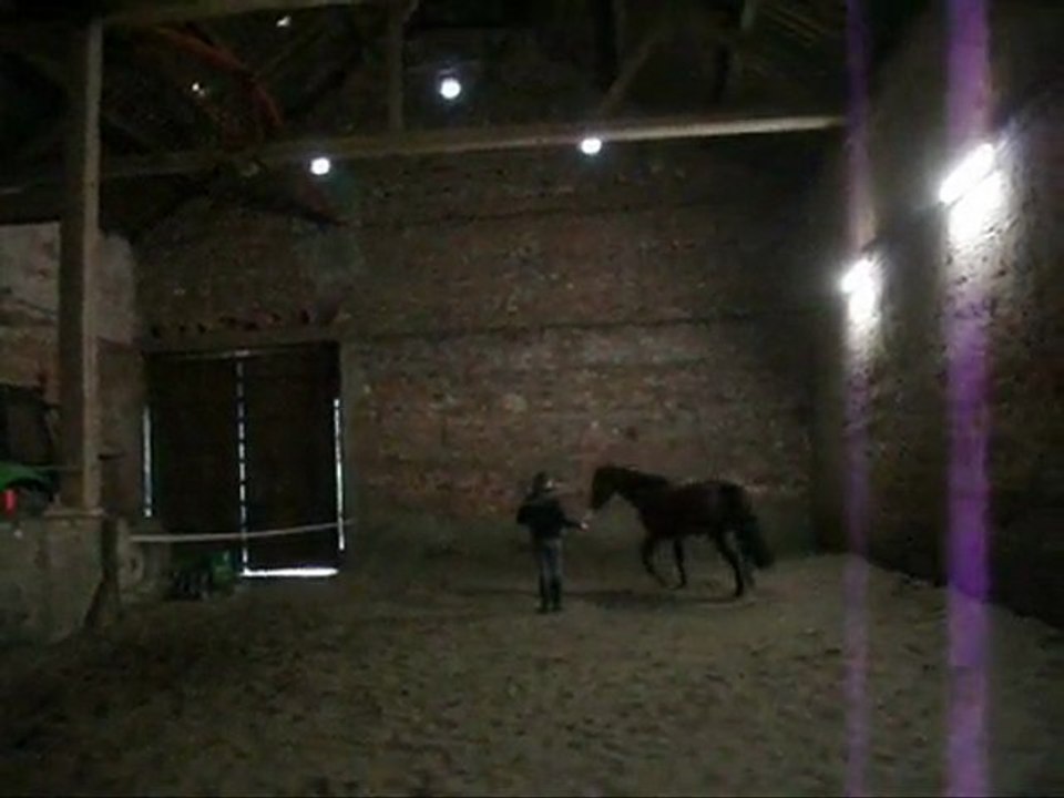finegold video 3 avril 2010