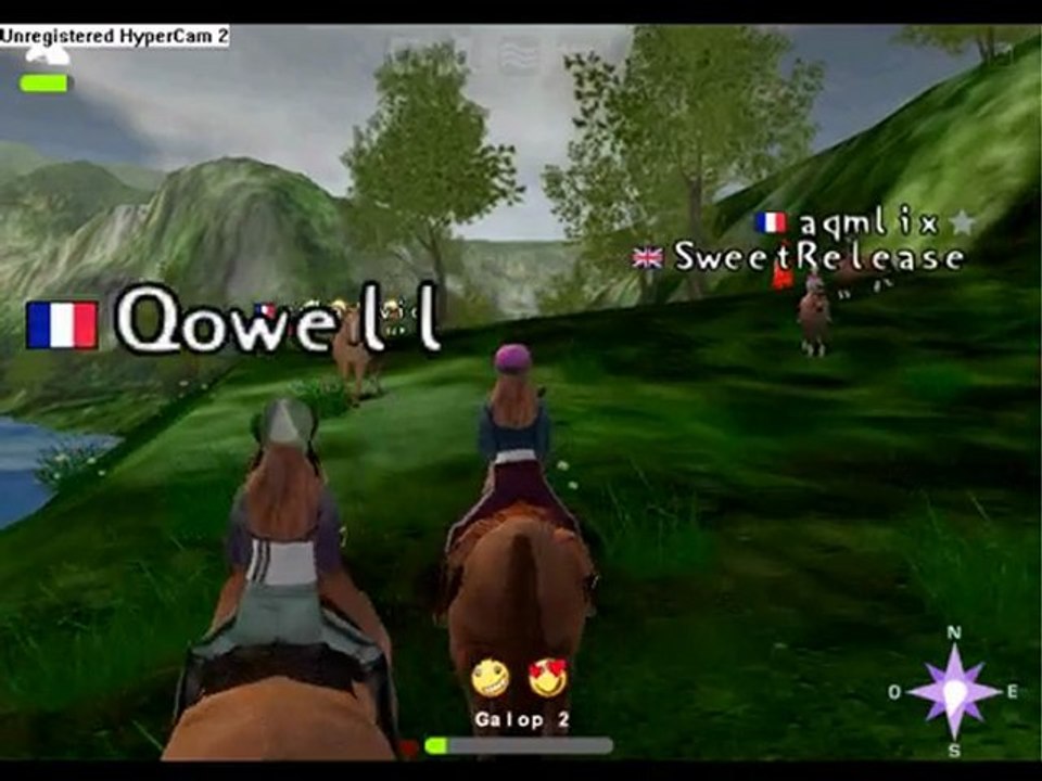 Chevaux sauvages de meo-mission-equitation