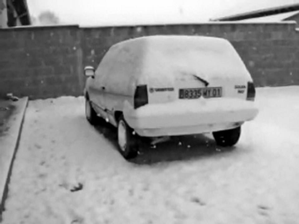 Polo Fancy 89' - "Chilpouny 2"