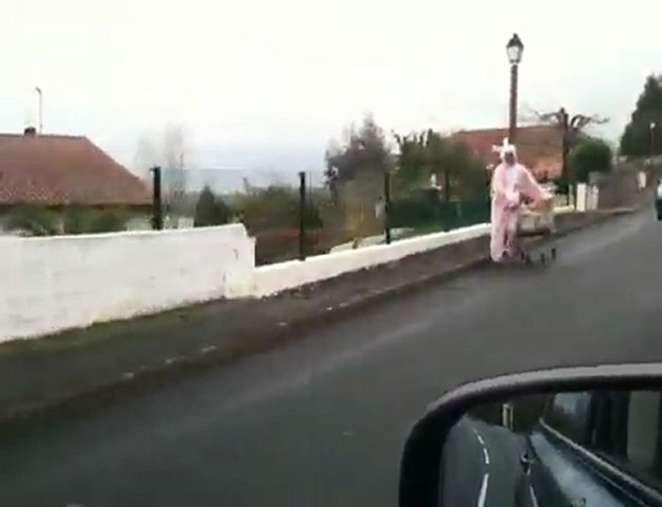 Lapin Gaillard