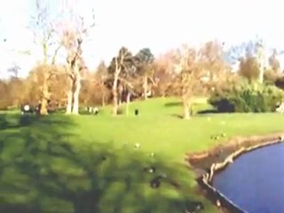 Un petit tour dans la nature : Parc8