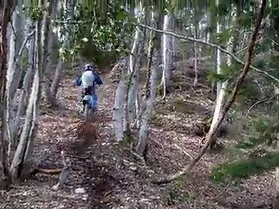 vid 6