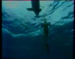 Jacques  Mayol et les dauphins- le Grand Bleu