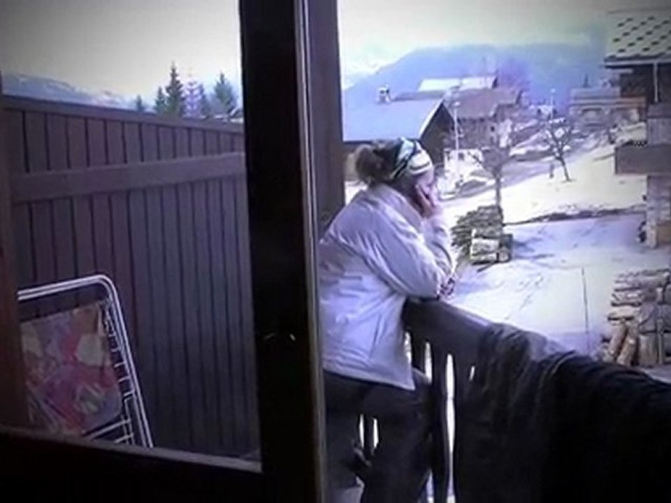 Teaser Crest Voland 2010