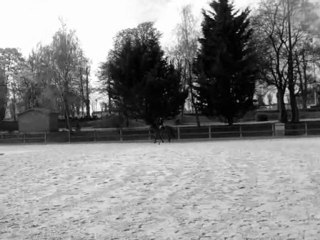 Morgane & Quiara Des Sénades