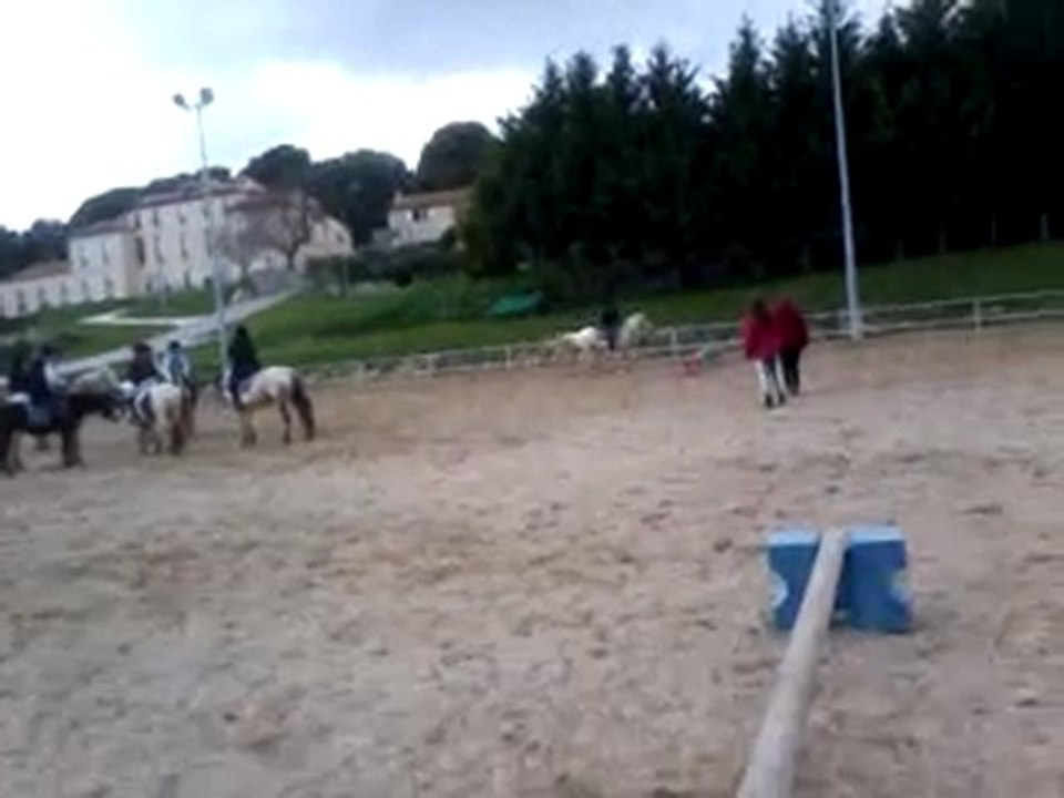 solene en saut d'obstacle