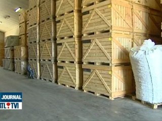 Surproduction de pommes de terre en 2009 en Belgique