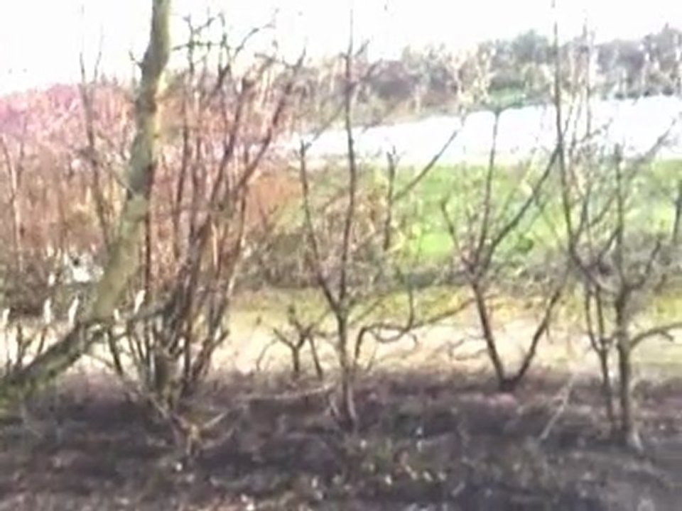 Un petit tour dans la nature : Parc 5