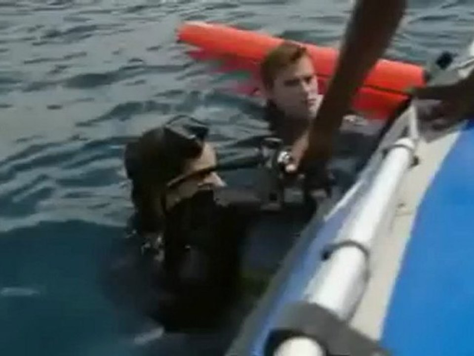 sa majeste la raie manta 3