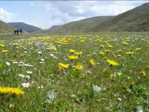 bozkır sarıot yaylası tekbasina42