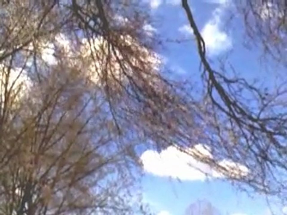 Un petit tour dans la nature : Parc 4