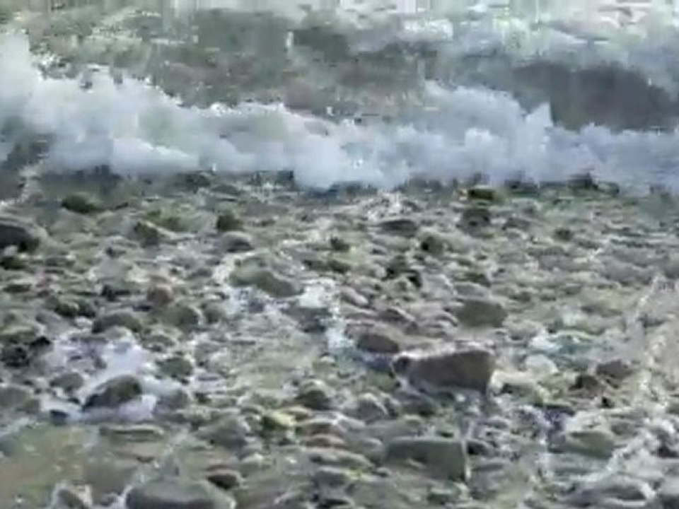 video Comme un galet roulé par les vagues sur le rivage