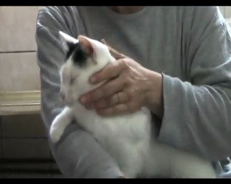 Filou 2010 02 03 avril 2010