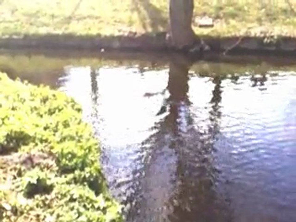 Un petit tour dans la nature : Parc 1