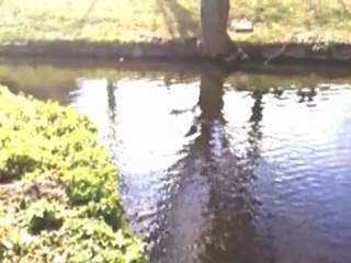 Un petit tour dans la nature : Parc 1