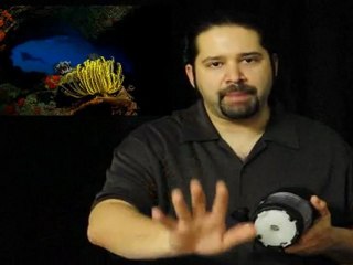 Great Blue Water  in Your Underwater Photography