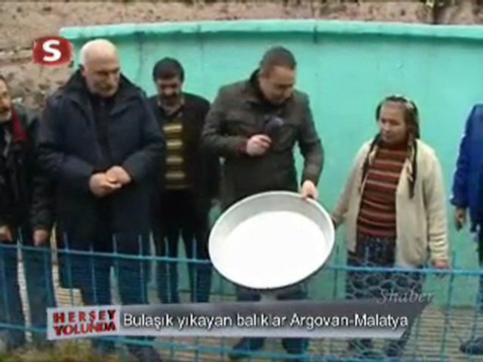 Malatya Bulaşık temizleyen balıklar her şey yolunda