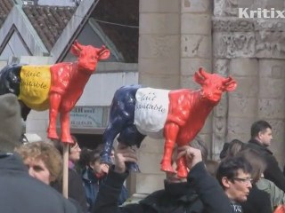 Manifestation de l'APLI à Poitiers