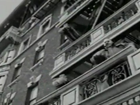 Fat Joe - Shit Is Real (DJ premier Remix )