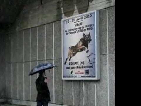 l'avant seléctif ring 2010