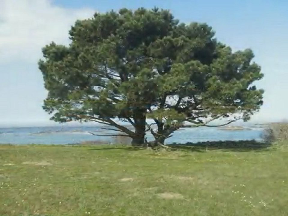 vacance n bretagne