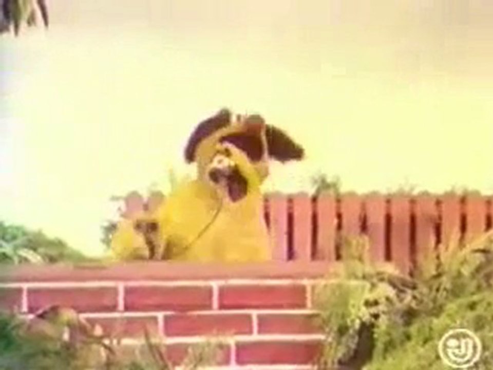 La paté du chat