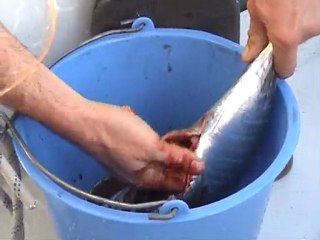 2010-01-27 03.07.58 takarii 6