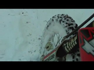 David Neige (mars 2010)