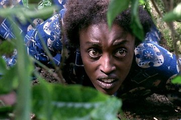 Le jour où Dieu est parti en voyage (BA)